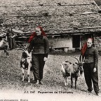 Fondation du Patrimoine Champérolain
		